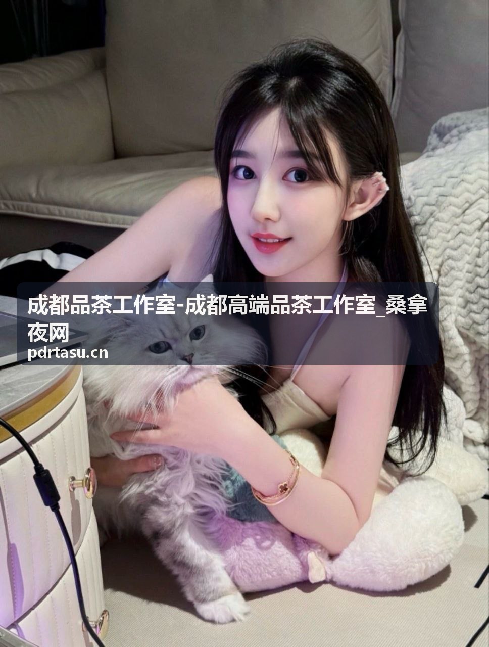 成都品茶工作室文化沙龙活动